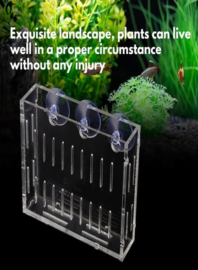 VAYINATO® 2 Pcs (Large-10CM) Acrylic Transparent Water Plant Holder with Strong Suction Cup for Aquarium Fish Tank, Aquaponic Plant Growing Landscape Decoration Water Plants by Petzlifeworld - Image 3